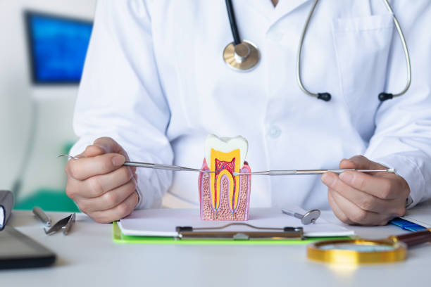 Best Knocked-Out Tooth Emergency  in Seattle, WA